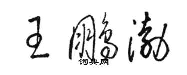 骆恒光王鹏渤草书个性签名怎么写