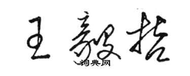 骆恒光王毅哲草书个性签名怎么写
