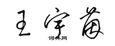 骆恒光王宇茵草书个性签名怎么写
