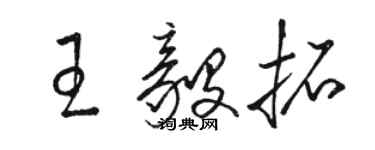 骆恒光王毅拓草书个性签名怎么写