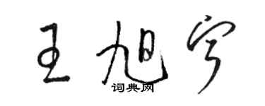 骆恒光王旭宁草书个性签名怎么写