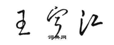 骆恒光王宁江草书个性签名怎么写