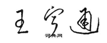 骆恒光王宁通草书个性签名怎么写