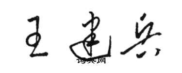 骆恒光王建兵草书个性签名怎么写