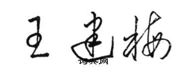 骆恒光王建梅草书个性签名怎么写