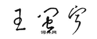 骆恒光王闽宁草书个性签名怎么写