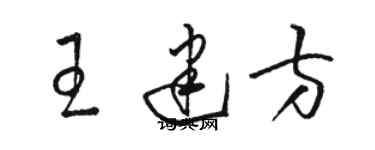 骆恒光王建方草书个性签名怎么写