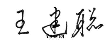 骆恒光王建聪草书个性签名怎么写
