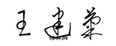 骆恒光王建菊草书个性签名怎么写