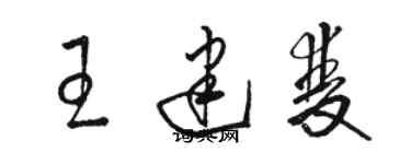 骆恒光王建双草书个性签名怎么写