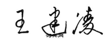 骆恒光王建凌草书个性签名怎么写
