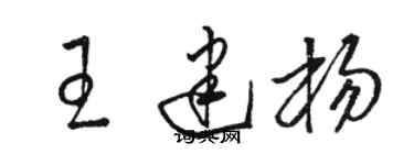 骆恒光王建杨草书个性签名怎么写