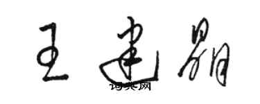 骆恒光王建晶草书个性签名怎么写