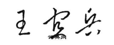 骆恒光王宜兵草书个性签名怎么写