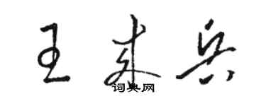 骆恒光王来兵草书个性签名怎么写