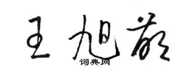 骆恒光王旭萌草书个性签名怎么写