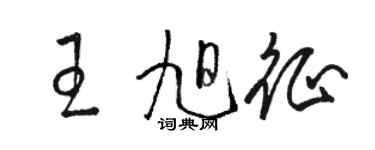 骆恒光王旭征草书个性签名怎么写
