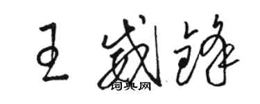骆恒光王威锋草书个性签名怎么写