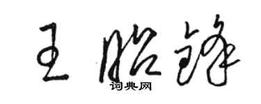 骆恒光王昭锋草书个性签名怎么写