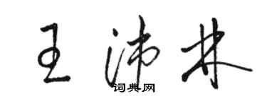 骆恒光王沛林草书个性签名怎么写