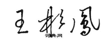 骆恒光王彬凤草书个性签名怎么写