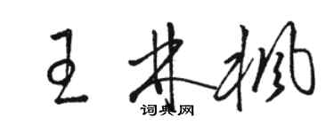 骆恒光王林枫草书个性签名怎么写