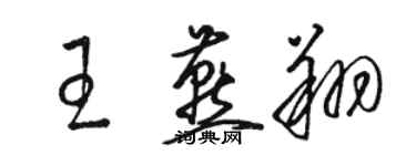 骆恒光王燕翔草书个性签名怎么写