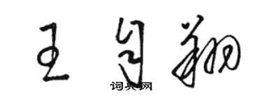 骆恒光王自翔草书个性签名怎么写