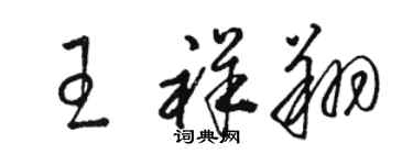 骆恒光王祥翔草书个性签名怎么写