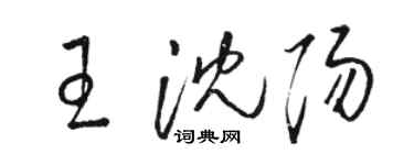 骆恒光王沈阳草书个性签名怎么写