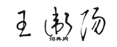 骆恒光王卫阳草书个性签名怎么写