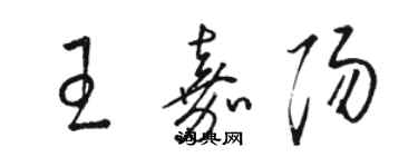 骆恒光王嘉阳草书个性签名怎么写