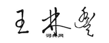 骆恒光王林丰草书个性签名怎么写