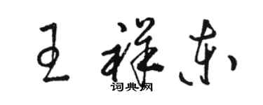 骆恒光王祥东草书个性签名怎么写