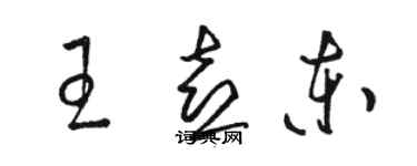 骆恒光王喜东草书个性签名怎么写