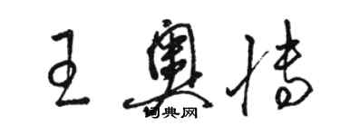 骆恒光王奥博草书个性签名怎么写