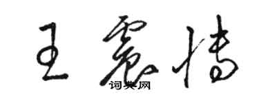 骆恒光王震博草书个性签名怎么写