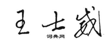 骆恒光王士威草书个性签名怎么写