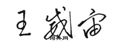 骆恒光王威宙草书个性签名怎么写