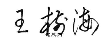 骆恒光王树海草书个性签名怎么写
