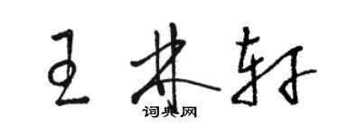 骆恒光王林轩草书个性签名怎么写