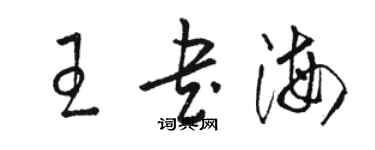 骆恒光王书海草书个性签名怎么写