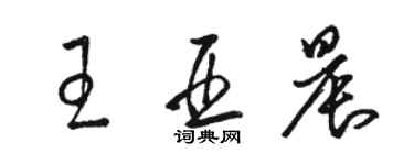 骆恒光王亚晨草书个性签名怎么写