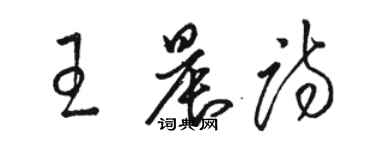 骆恒光王晨诗草书个性签名怎么写