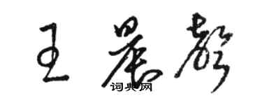 骆恒光王晨声草书个性签名怎么写