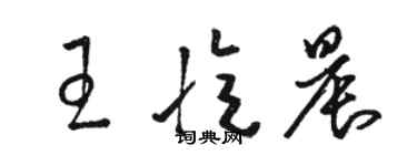 骆恒光王忆晨草书个性签名怎么写