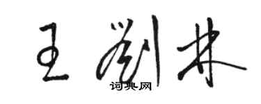 骆恒光王刘林草书个性签名怎么写