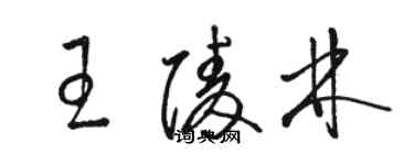 骆恒光王陵林草书个性签名怎么写
