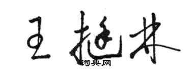 骆恒光王挺林草书个性签名怎么写