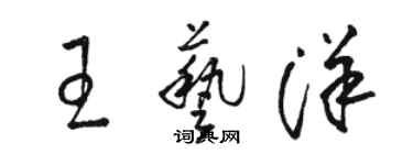 骆恒光王艺洋草书个性签名怎么写